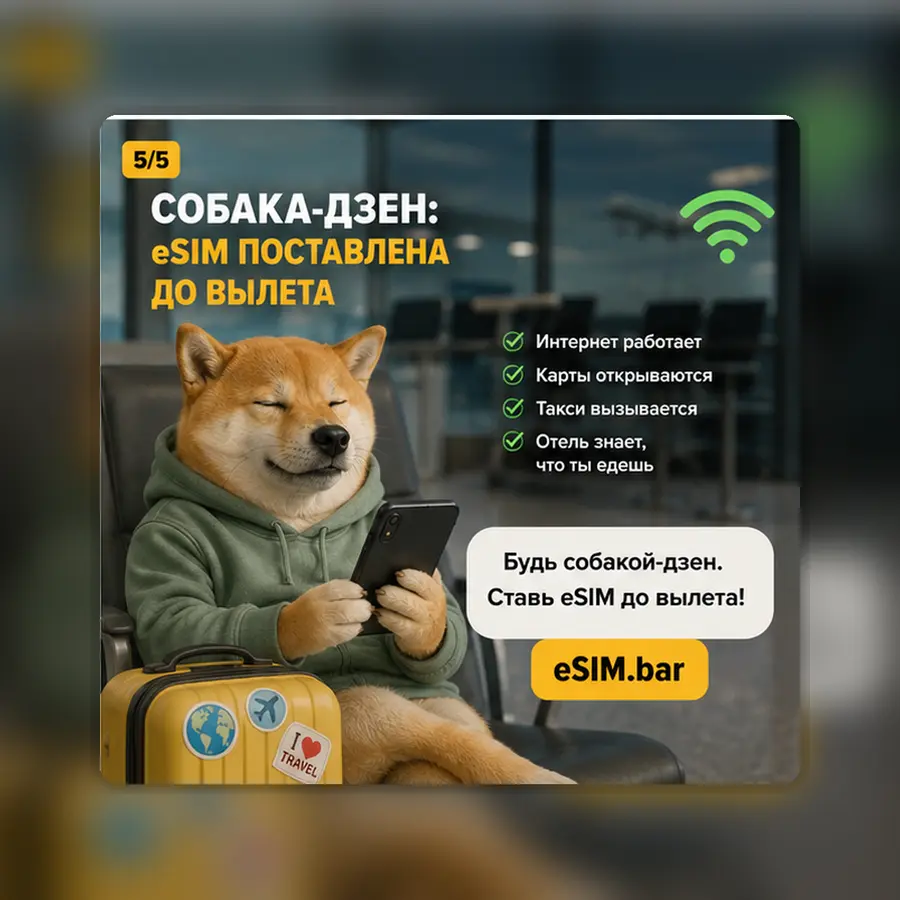 Кто вы в аэропорту без интернета? — слайд 5