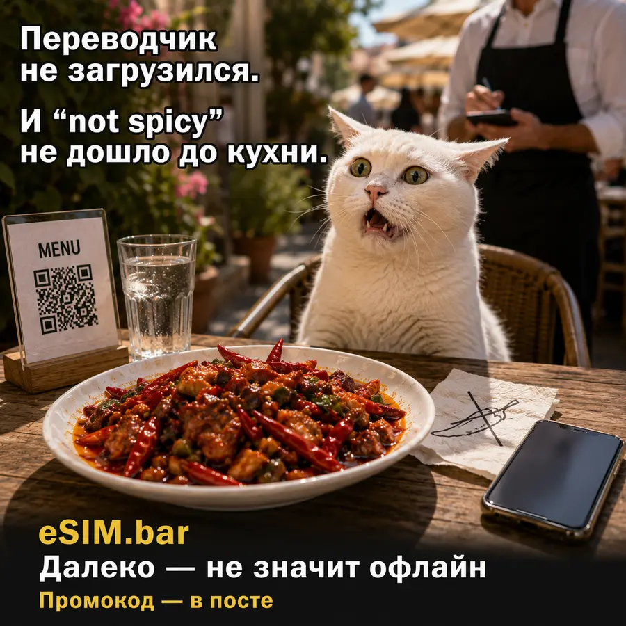 «Not spicy, please» — и надежда на переводчик