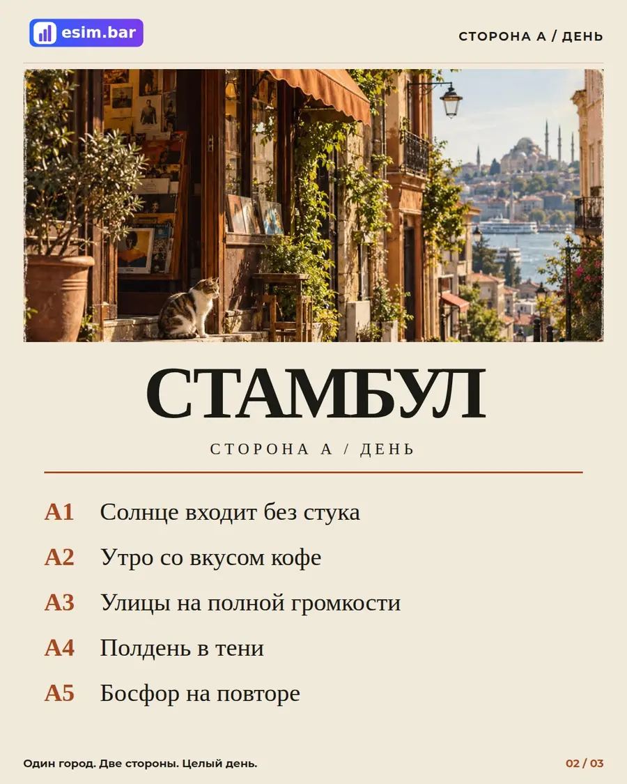 Стамбул. Обе стороны хороши. — слайд 2